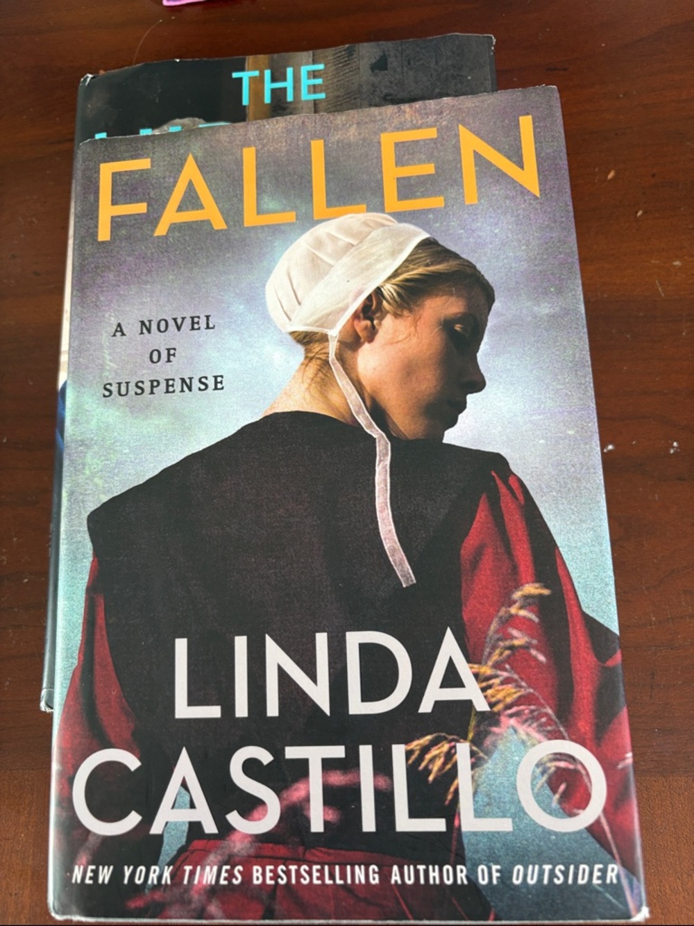 The Hidden One and Fallen TWO books by Linda Castillo, Novels of Suspense - Picture 2 of 5
